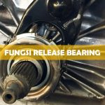 Fungsi Release Bearing Terlengkap